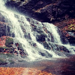 Love, Peace and Harmony