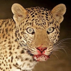 rainmanrainmanrainmanrainman