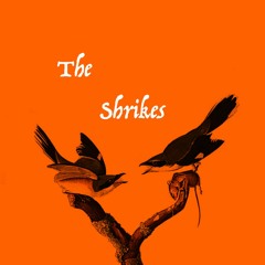 The Shrikes