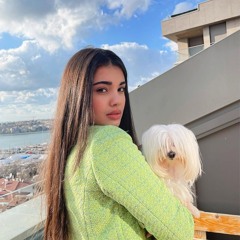 mimimi
