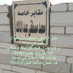 محمد مصطفي عبد المالك