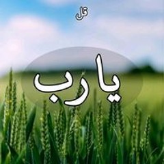 حبيبت نفسي