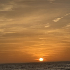 Summer Dreams