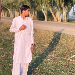 cmidrees02