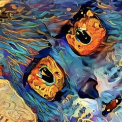 Ambisity