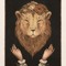 lionkid