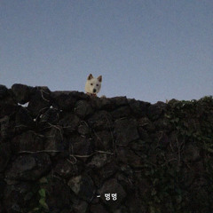 오후만있던일요일
