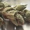 Lemon Haze