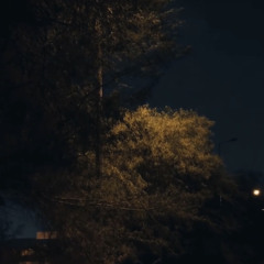 𝓚⋈𓂅﹅⋆⊹