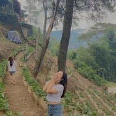 Putri Harefa