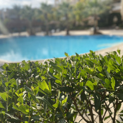 Bahaa Sultan - Abl Mamshy  Lyrics Video 2023  بهاء سلطان - قبل ما امشي.mp3