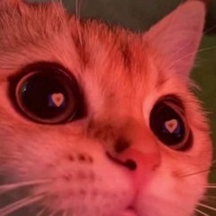 1337