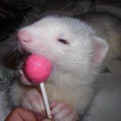 sundae.so