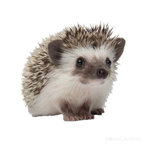 wake yo ass up because its time to go beast mode.mp3