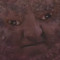 Bean Guy