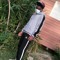 RLB