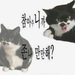 히노키