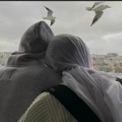 محمود مصطفى