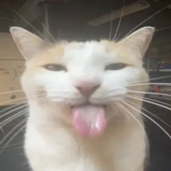 Kya