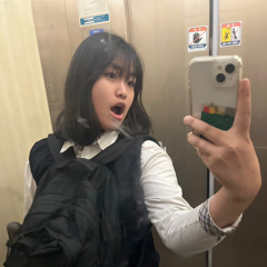 다인