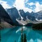 Harvey_LindsayVeal
