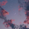 Calastrophic