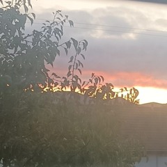 sam - Untitled 2025-12-19 16_37.m4a