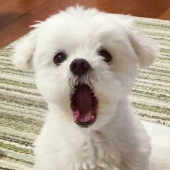 서희