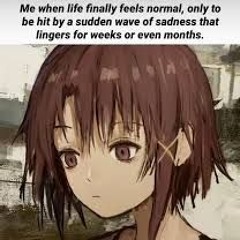 Chanh idgaf ≽^•⩊•^≼