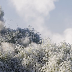 Greenwoodandrew521