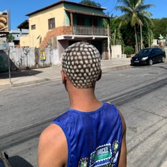 #MCS RODRIGO & FUSCAO DO ACR - ELA VEM BROTA NO MEU SETOR & DANÇAR TIKTOK ((DJ JP DO ACR))