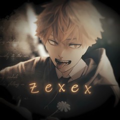 ZEXEX