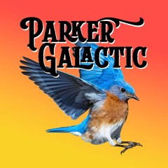 Parker Galactic