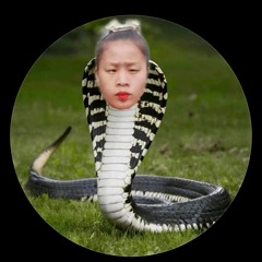 Đang bận yêu V