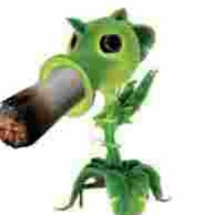 CHUCKA_NUT