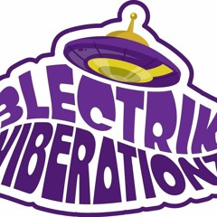 3LECTRIK VIBERATIONZ