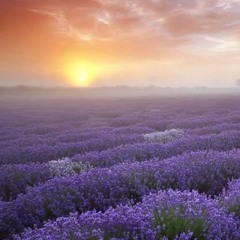 Ардобьевский Сергей