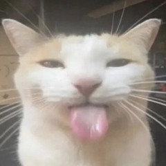 micxbug