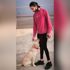 Abdullah Ghouri🕊️