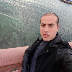 Ahmed Tawfeek Kamel