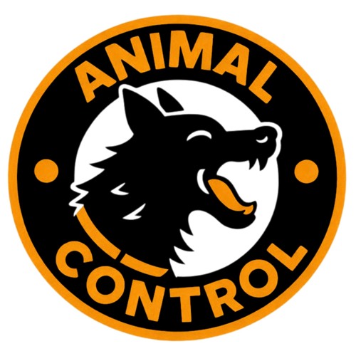 ABSNTH @ Animal Control Radio 002 (High Dive Milwaukee, United States ...