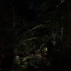 Isa Alexandro Monteiro