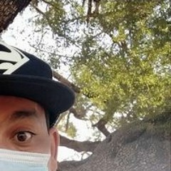 Draman Elm