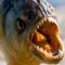 Piranha
