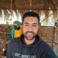 AhmedBeshry
