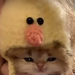 Даниил Шитов
