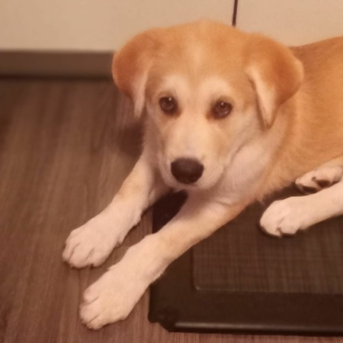 Stream Bananavr music | Listen to songs, albums, playlists for free on ...