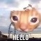 Itz_CheezeHead