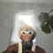 JABXLANi