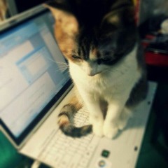 cherie